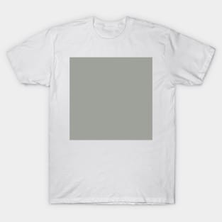 Solid Boulder Light Gray Monochrome Minimal Design T-Shirt